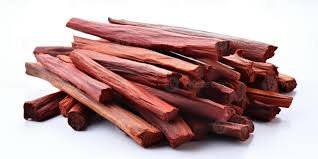 Red Sandalwood
